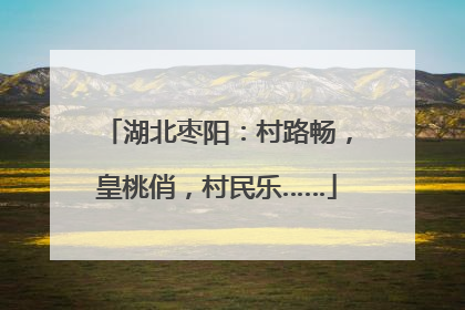 湖北枣阳：村路畅，皇桃俏，村民乐……