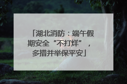 湖北消防：端午假期安全“不打烊”，多措并举保平安