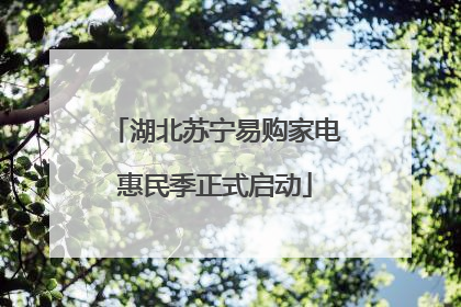 湖北苏宁易购家电惠民季正式启动