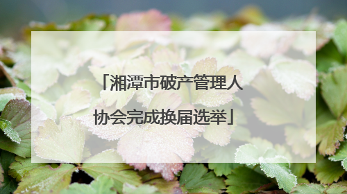湘潭市破产管理人协会完成换届选举