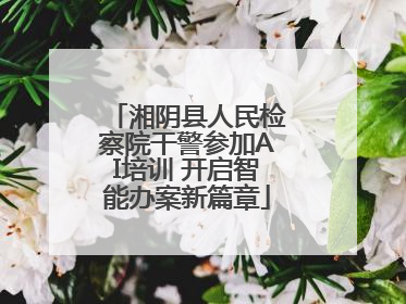 湘阴县人民检察院干警参加AI培训 开启智能办案新篇章