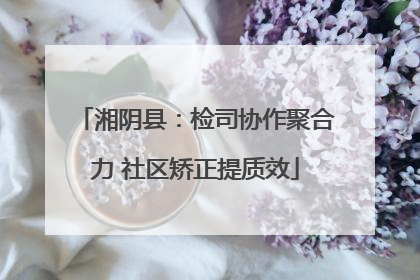 湘阴县：检司协作聚合力 社区矫正提质效