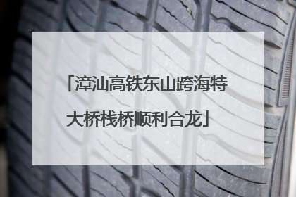 漳汕高铁东山跨海特大桥栈桥顺利合龙