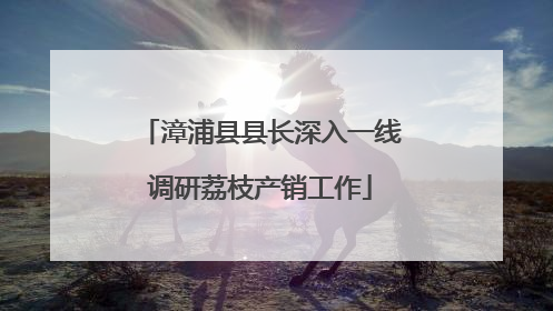 漳浦县县长深入一线调研荔枝产销工作