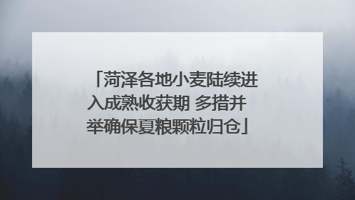 菏泽各地小麦陆续进入成熟收获期 多措并举确保夏粮颗粒归仓