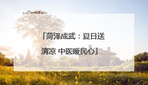 菏泽成武：夏日送清凉 中医暖民心