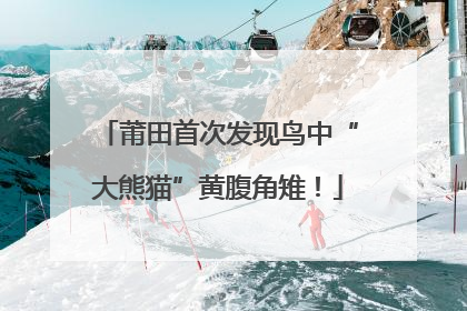莆田首次发现鸟中“大熊猫”黄腹角雉！