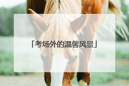 考场外的温馨风景