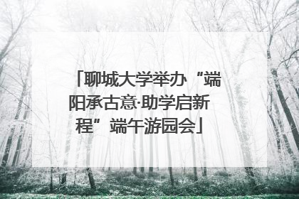 聊城大学举办“端阳承古意·助学启新程”端午游园会