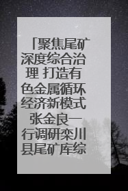 聚焦尾矿深度综合治理 打造有色金属循环经济新模式 张金良一行调研栾川县尾矿库综合治理工作
