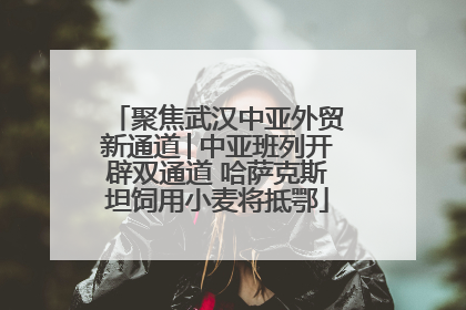 聚焦武汉中亚外贸新通道│中亚班列开辟双通道 哈萨克斯坦饲用小麦将抵鄂