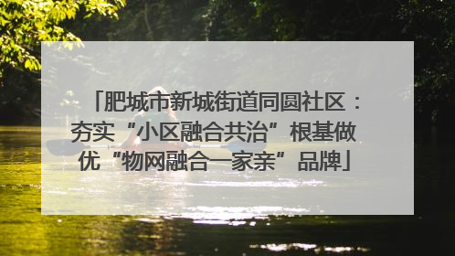 肥城市新城街道同圆社区：夯实“小区融合共治”根基做优“物网融合一家亲”品牌