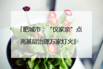 肥城市：“仪家亲”点亮基层治理万家灯火