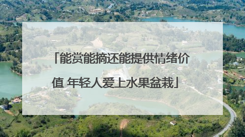 能赏能摘还能提供情绪价值 年轻人爱上水果盆栽