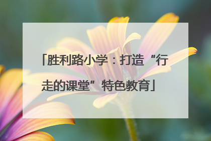 胜利路小学：打造“行走的课堂”特色教育