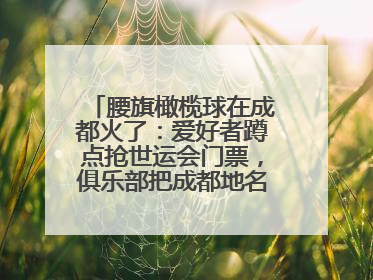 腰旗橄榄球在成都火了：爱好者蹲点抢世运会门票，俱乐部把成都地名写进战术暗语