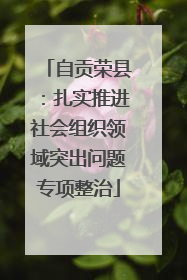 自贡荣县：扎实推进社会组织领域突出问题专项整治