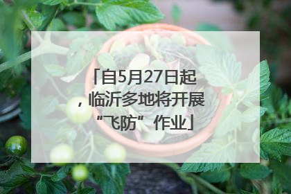 自5月27日起，临沂多地将开展“飞防”作业