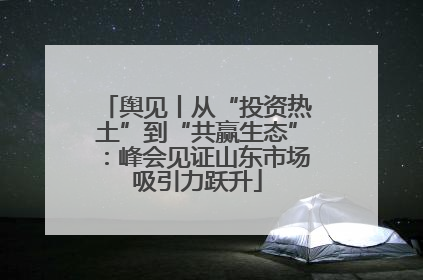 舆见丨从“投资热土”到“共赢生态”：峰会见证山东市场吸引力跃升