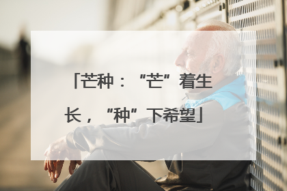 芒种：“芒”着生长，“种”下希望