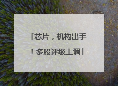 芯片，机构出手！多股评级上调