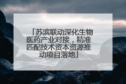 苏滨联动深化生物医药产业对接，精准匹配技术资本资源推动项目落地