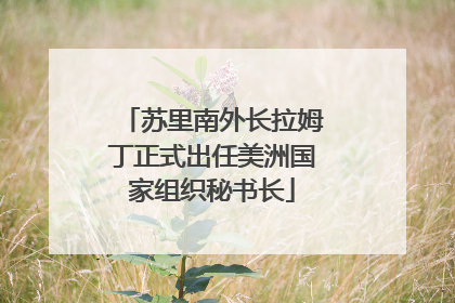 苏里南外长拉姆丁正式出任美洲国家组织秘书长
