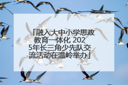 融入大中小学思政教育一体化 2025年长三角少先队交流活动在温岭举办