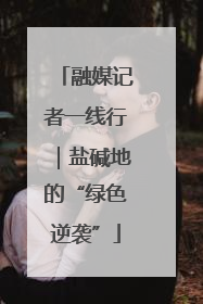 融媒记者一线行｜盐碱地的“绿色逆袭”