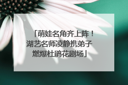 萌娃名角齐上阵！湖艺名师凌静携弟子燃爆杜鹃花剧场