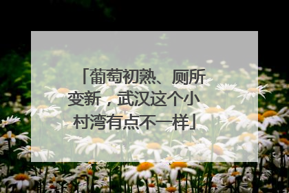 葡萄初熟、厕所变新，武汉这个小村湾有点不一样