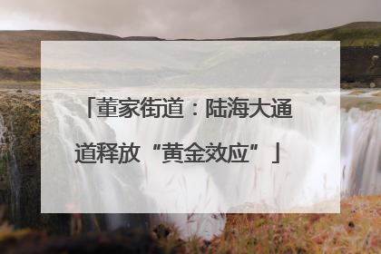 董家街道：陆海大通道释放“黄金效应”