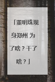 董明珠现身郑州 为了啥？干了啥？