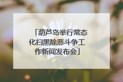 葫芦岛举行常态化扫黑除恶斗争工作新闻发布会