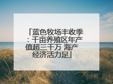蓝色牧场丰收季：千亩养殖区年产值超三千万 海产经济活力足