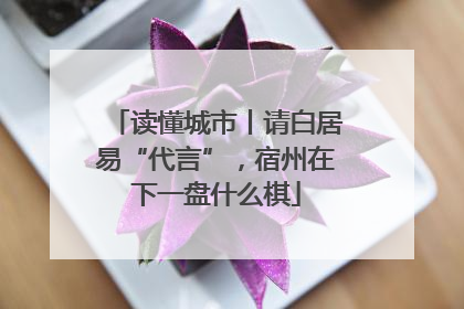 读懂城市丨请白居易“代言”，宿州在下一盘什么棋