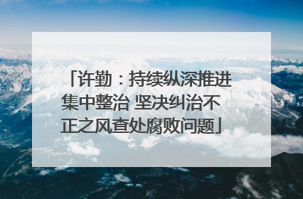 许勤：持续纵深推进集中整治 坚决纠治不正之风查处腐败问题