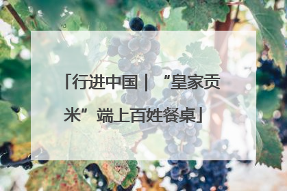 行进中国｜“皇家贡米”端上百姓餐桌