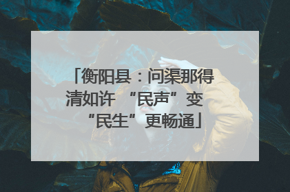 衡阳县：问渠那得清如许 “民声”变“民生”更畅通