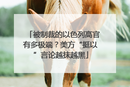 被制裁的以色列高官有多极端？美方“挺以”言论越抹越黑
