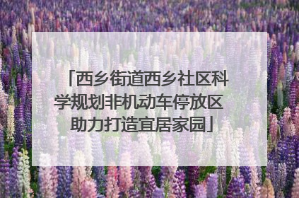 西乡街道西乡社区科学规划非机动车停放区 助力打造宜居家园
