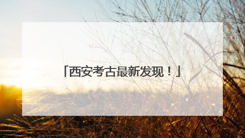 西安考古最新发现！