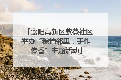 襄阳高新区紫薇社区举办“粽情邻里，手作传香”主题活动