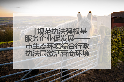 规范执法强根基 服务企业促发展——市生态环境综合行政执法局激活营商环境“绿色动能”