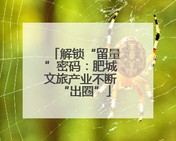 解锁“留量”密码：肥城文旅产业不断“出圈”