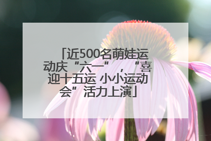 近500名萌娃运动庆“六一”，“喜迎十五运 小小运动会”活力上演