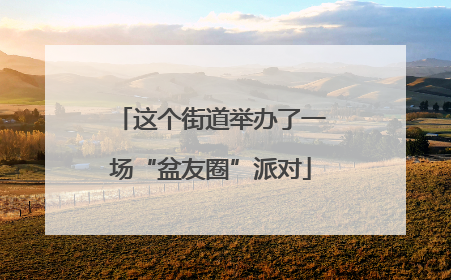 这个街道举办了一场“盆友圈”派对