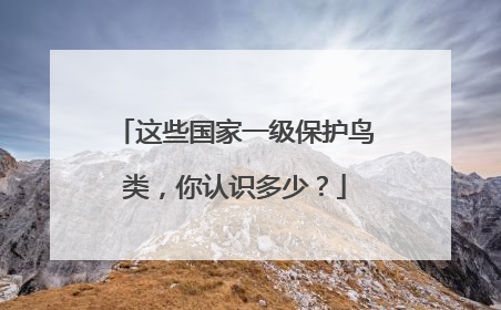 这些国家一级保护鸟类，你认识多少？