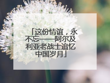 这份情谊，永不忘——阿尔及利亚老战士追忆中国岁月