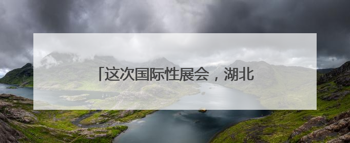 这次国际性展会，湖北又又又又担任主宾省